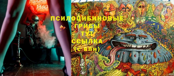 спайс Арсеньев