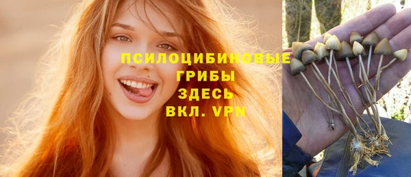 спайс Арсеньев